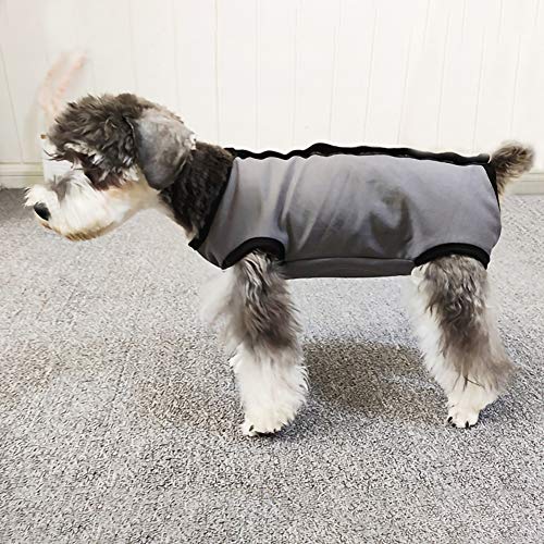 Camisa de recuperación de perro para cachorros, ropa protectora de heridas para animales pequeños