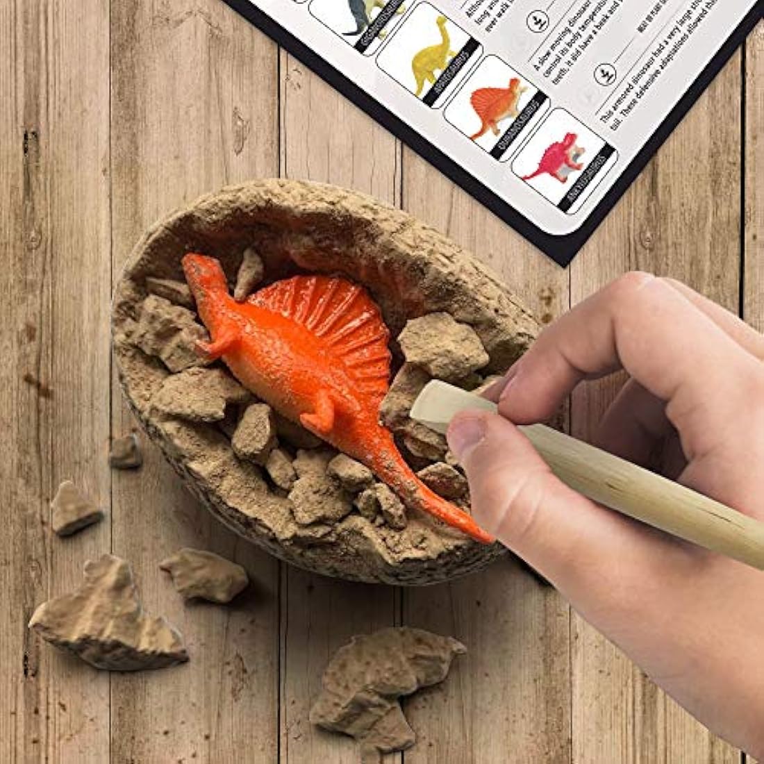 Nature Gear Dino - Juego de 12 huevos para buceo