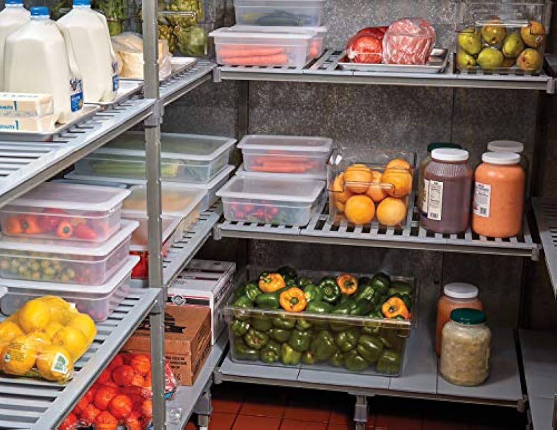 Bandeja de polipropeno transparente para alimentos