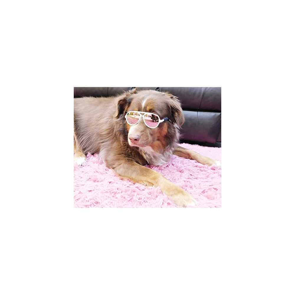 Disfraces de Gafas de sol para perro verde talla única