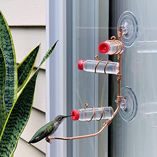 Comedero para colibríes de ventana de aluminio SWEET FEEDERS