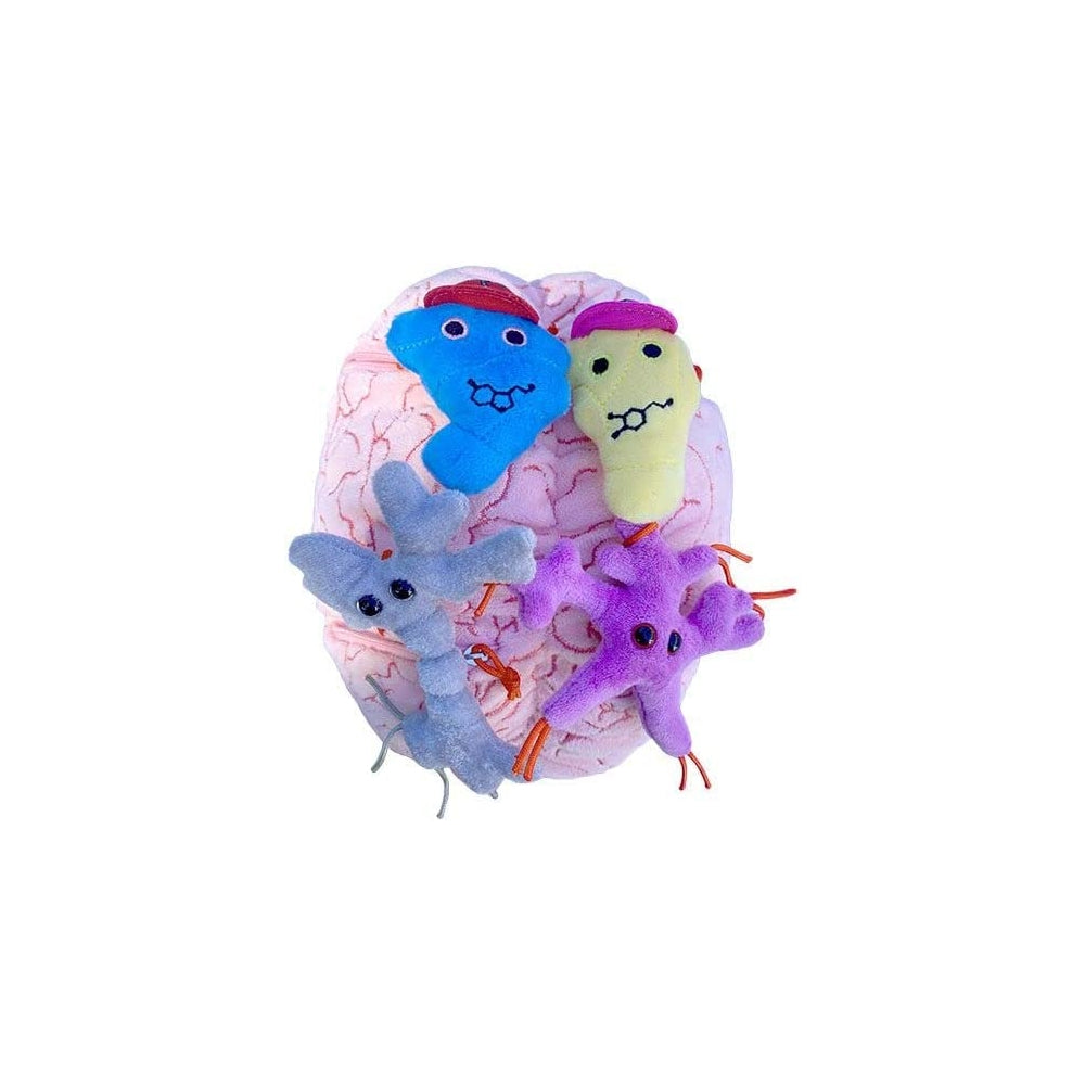 Peluches de cerebro con neuronas de felpa