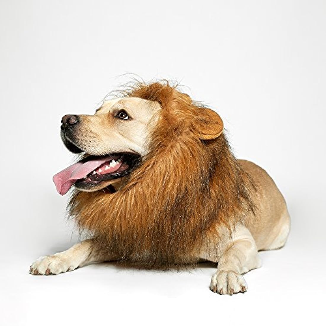 Peluca de melena de león para perro, realista y divertida