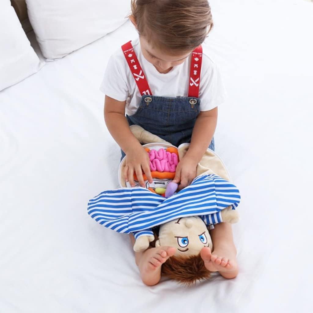 Modelo KAKIBLIN: Juguete anatómico de cuerpo humano para niños