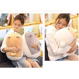 Almohada suave de felpa, Peluches Shiba Inu