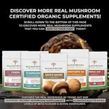 Extracto de hongos en polvo de Cordyceps por Real Mushrooms