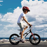 Bicicleta de magnesio