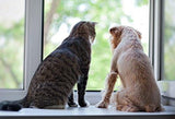 3 botellas de capsulas PETS HEALTH SOLUTION para gatos