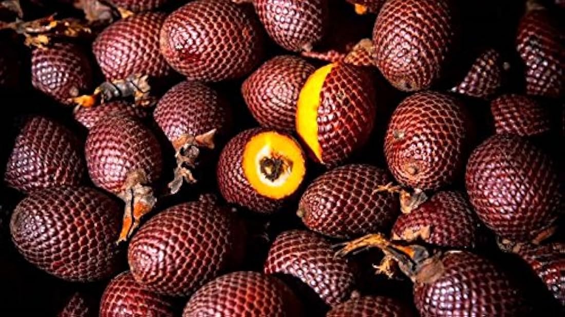 Aguaje 500 mg - 100 ° Cápsulas  polvo de fruta de Perú