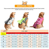 Doglay - Chaleco salvavidas para perros Ripstop, para natación, ajustable, con asa de rescate, para perros pequeños, medianos y grandes, diseño de tiburón
