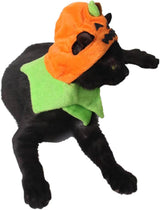 Gato Orgrimmar Sombrero Halloween Collar Cat Cosplay