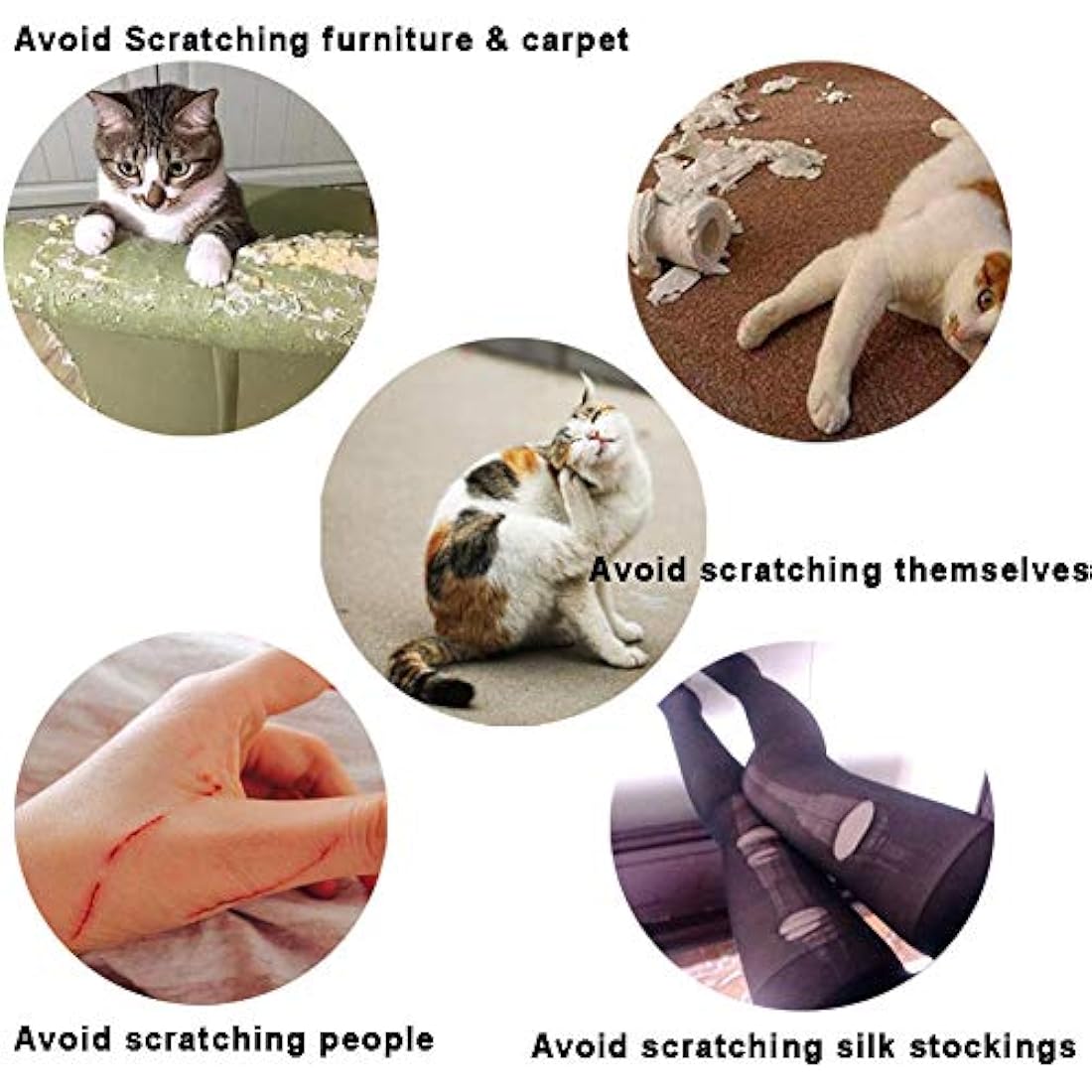 Tapones para uñas de gato para mascotas