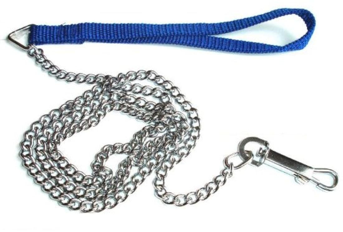 cuerda de entrenamiento para mascota