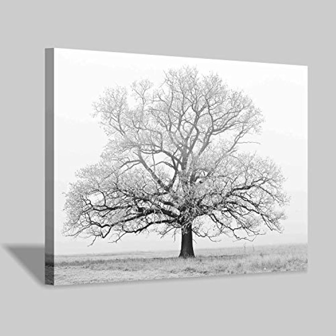 Lienzo decorativo para pared con diseño de bosque