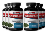 algas de 500 mg (6 botellas 360 ° Cápsulas)