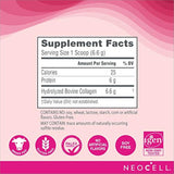 NeoCell Super Colágeno en polvo, 14 onzas, sin OGM, alimentación de hierba, Paleo, sin gluten, péptidos de colágeno tipos 1 y 3 para cabello, piel, uñas y articulaciones (embalaje puede variar), 60 porciones
