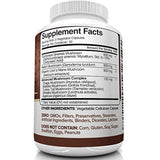 Nutrivein - Suplemento de hongos 2500mg 90 Cápsulas