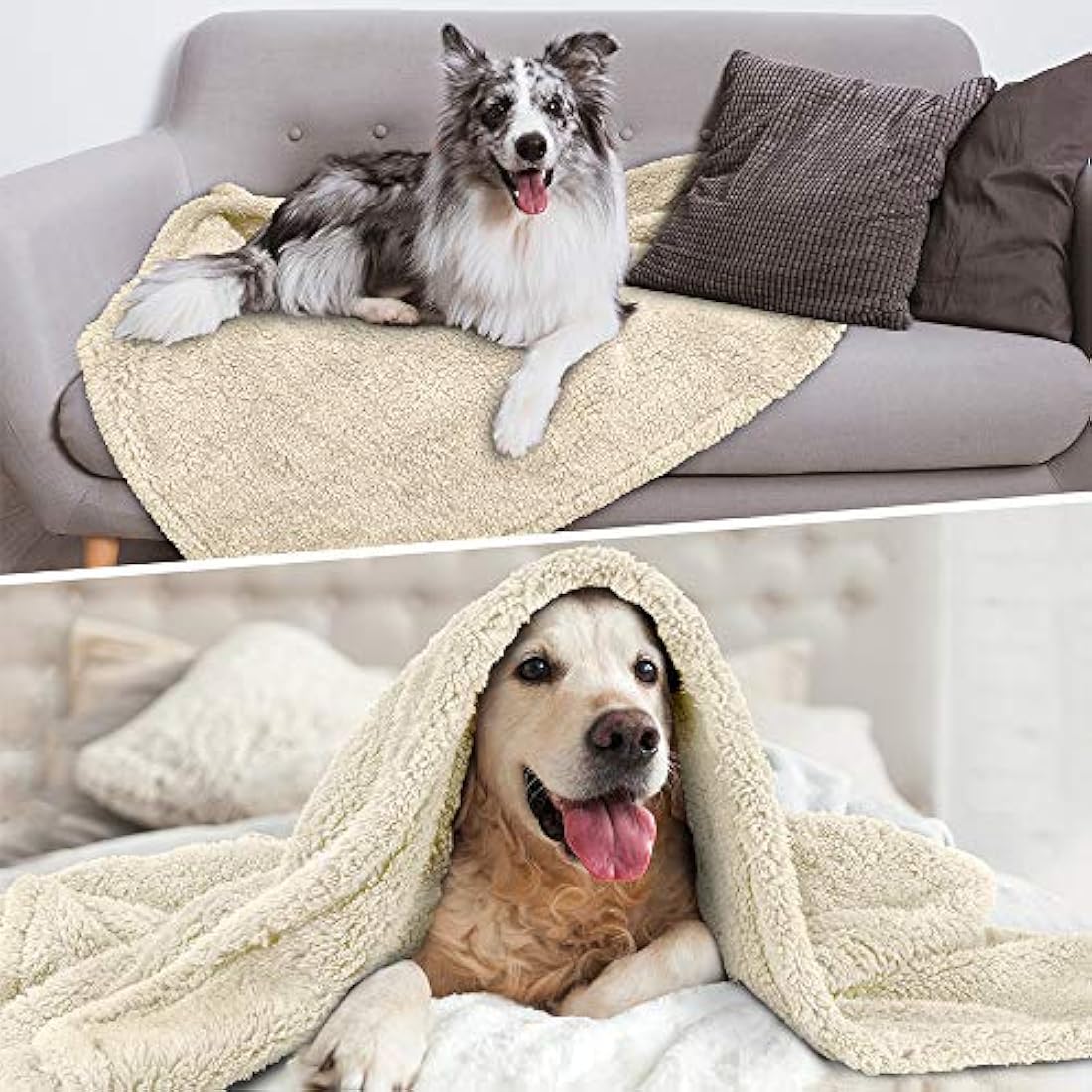 Manta de forro polar impermeable para perros grandes y gatos