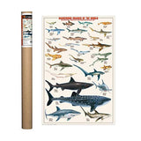 Eurographics – Póster de tiburón, impresión 24 x 36