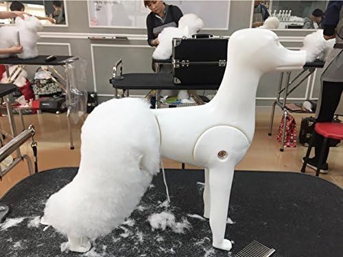 Maniquí de Perro D-Wig para Grooming, Plástico Reforzado