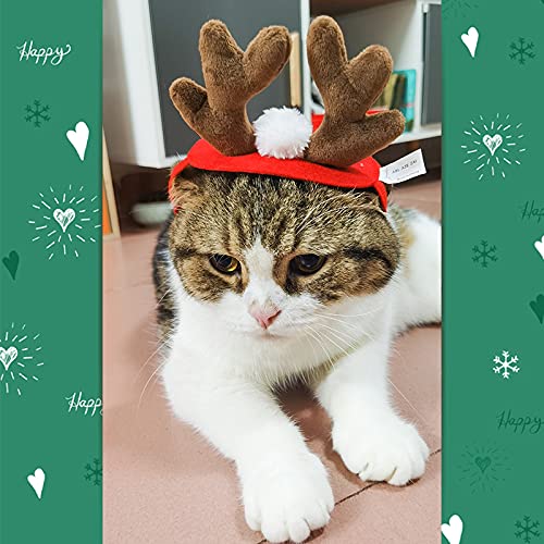 Sombrero de Papá Noel con bufanda  Conjunto de disfraz