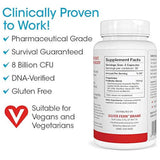Helecho de plata marca Gut Health, 1