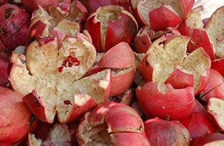foodherbs Anar/Punica granatum/Granada Peel en polvo