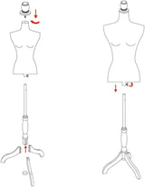 Maniquí Femenino con Base Tripode, Altura Ajustable, Modelo X