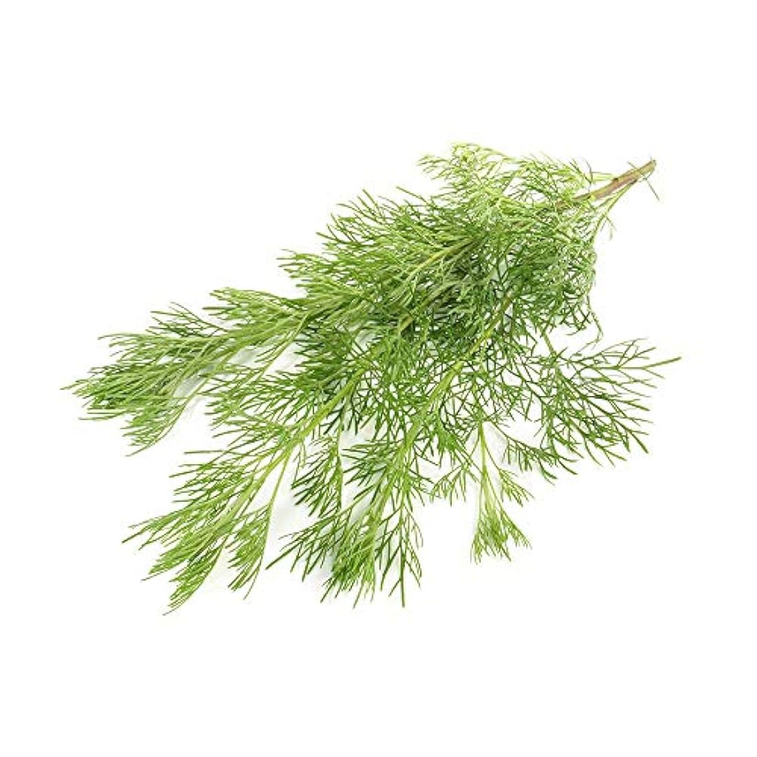 Biokoma 100% puro y natural de madera del Sur