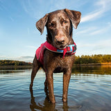 Chaleco salvavidas para perros Kurgo Surf N Turf