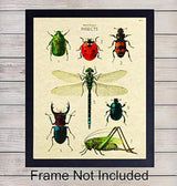 póster de arte de pared 8x10 póster de error científico