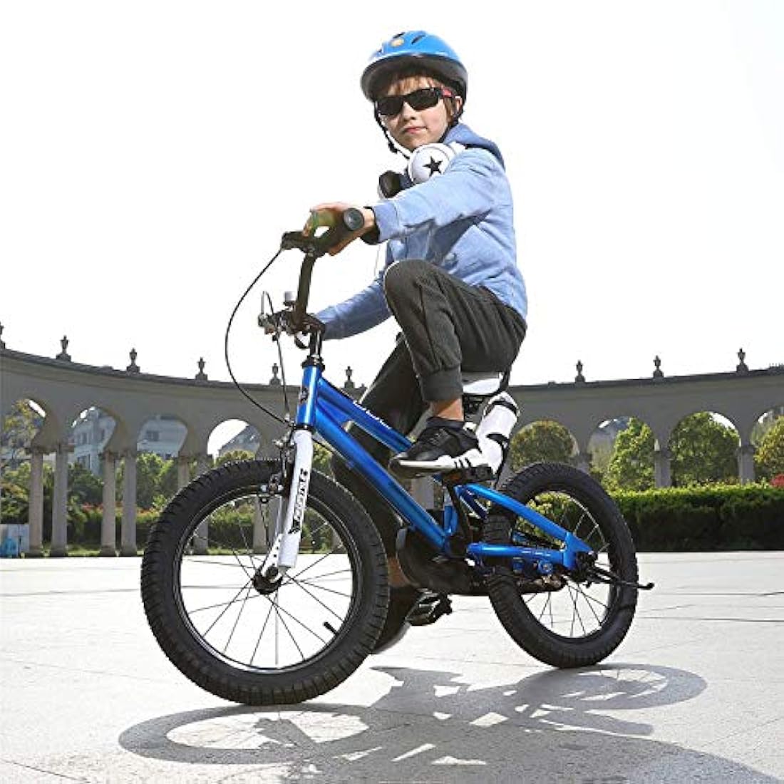 Bicicleta BMX