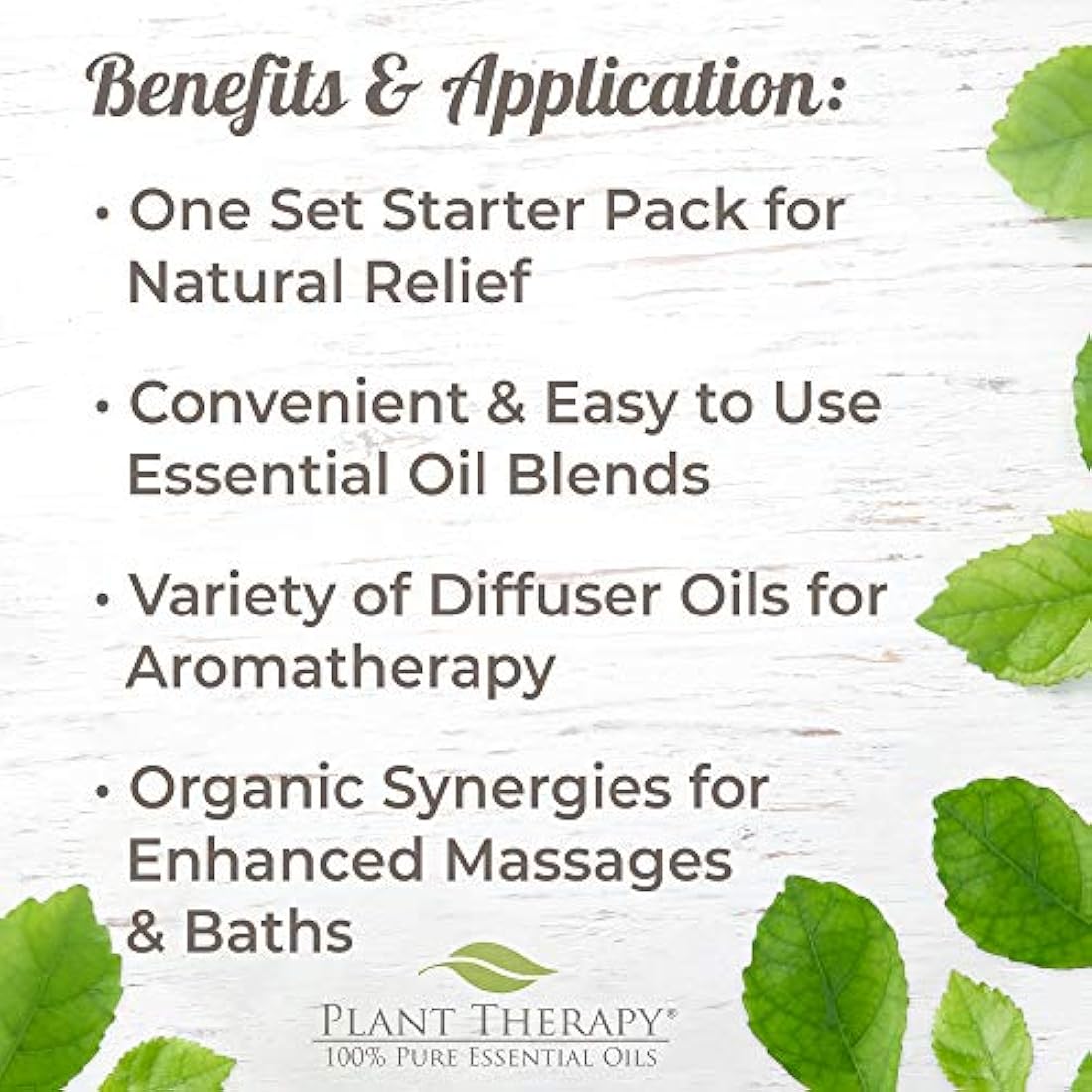 Plant Therapy Juego sinergias de 6 mejores aceite esencial