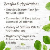 Plant Therapy Juego sinergias de 6 mejores aceite esencial