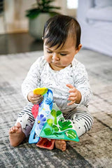 Baby Einstein Curious Explorers Teether Book