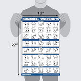 Póster de entrenamiento de mancuernas de Palace Learning