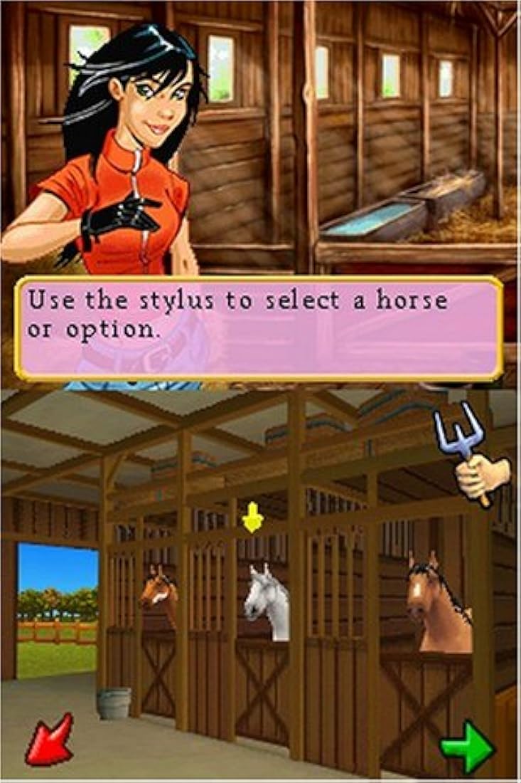 Ener-G Horse Riders - Nintendo DS