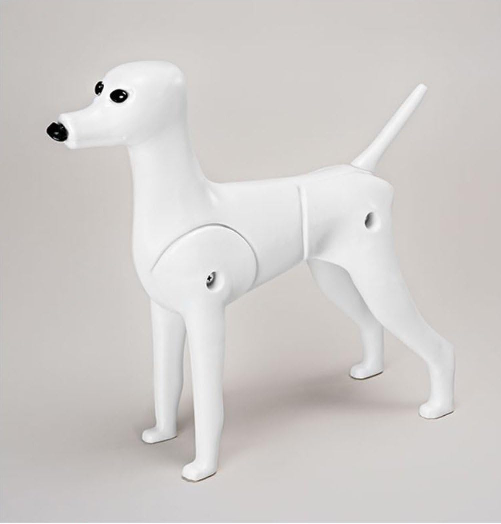 Maniquí de Perro D-Wig para Grooming, Plástico Reforzado