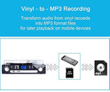 Altavoces estéreo tocadiscos para vinilo con reproducción