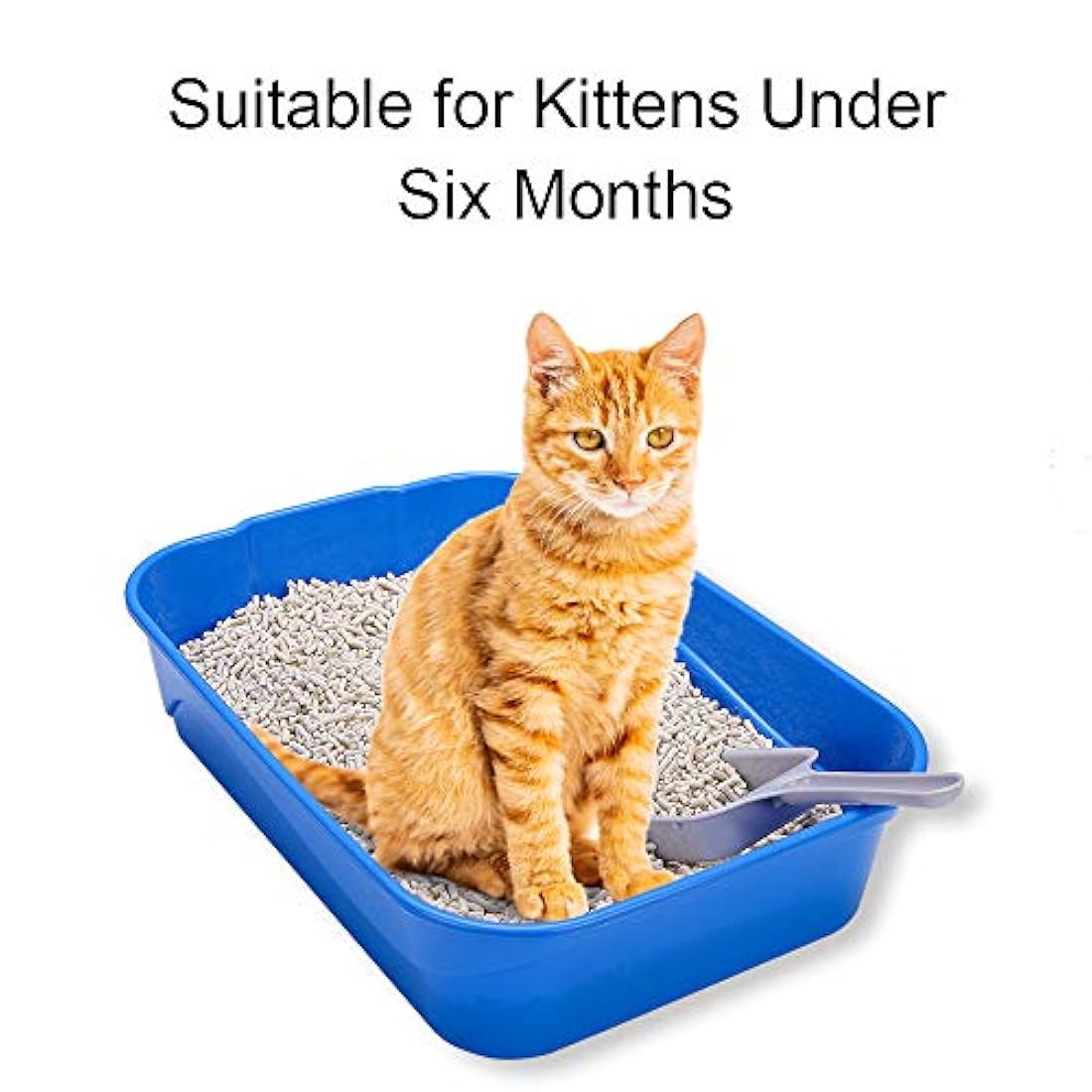 GreenJoy Kitty - Caja de arena abierta sin tapa, alfombrilla