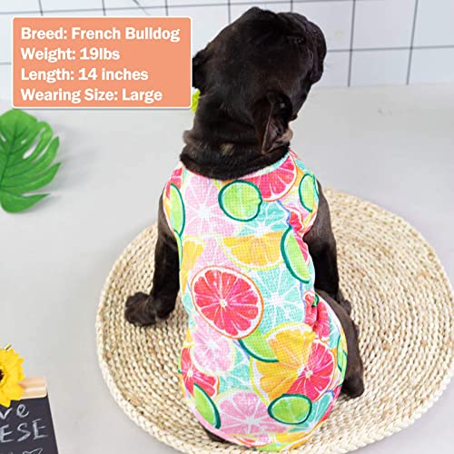 KYEESE Paquete de 2 camisas para perros