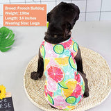 KYEESE Paquete de 2 camisas para perros