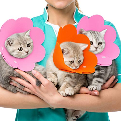 Weewooday 4 piezas flor cuello gato Conos forma flor mascota herida cuello cuello cuello collar ajustable recuperación collar suave isabelino collar para gatitos gatos cachorros conejos tamaño S/M (rosa y naranja)