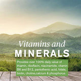 Nature's Sunshine Balanced B Complex 120 tabletas