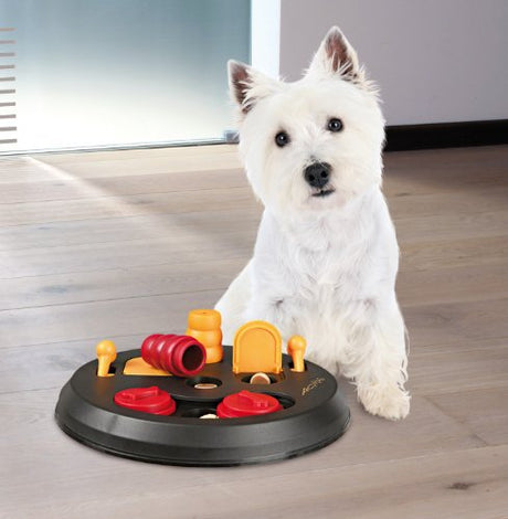 Plato de comida para mascotas