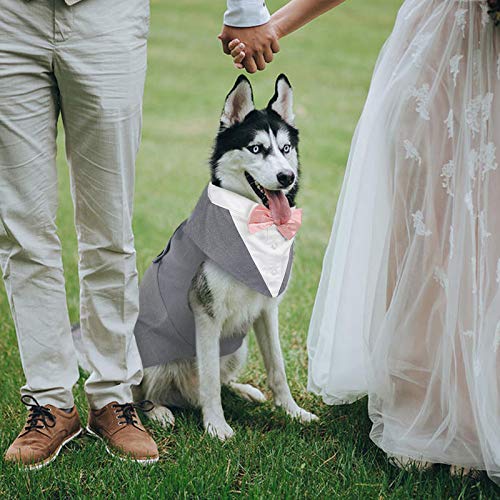 Kuoser - Juego de traje y paliacate para perros grandes y medianos, tema de esmoquin, para bodas