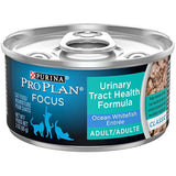 Purina para gatos