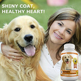 Increíble cúrcuma para perros Antioxidante para mascotas