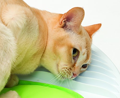 Centro de bienestar para gatos Senses 2.0