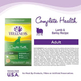 Alimento seco natural para perro Wellness Complete Health